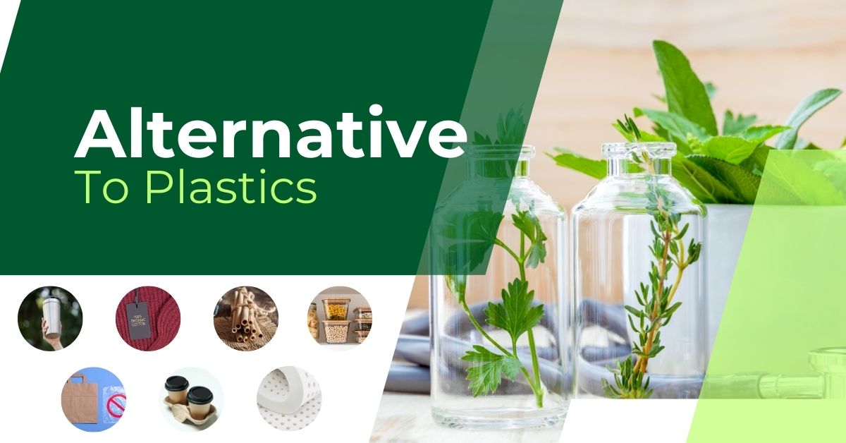 Read more about the article What Are the Best Alternatives to Plastic?  10 Eco-Friendly Solutions: