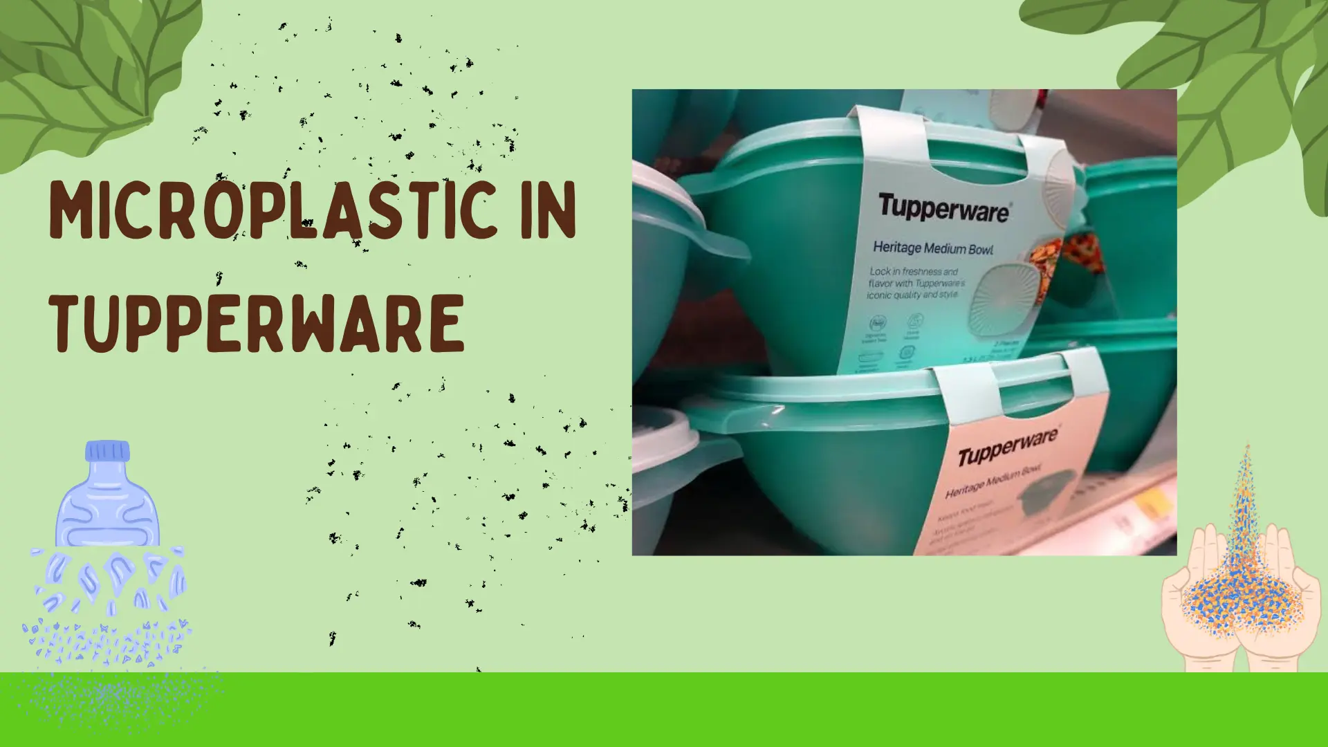 Read more about the article Microplastics in Tupperware: What You Really Need to Know