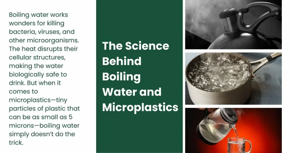 The Science Behind Boiling
Water and Microplastics