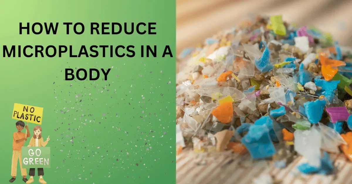 Read more about the article How to Reduce Microplastics In Body- 12 Effective  Solution: