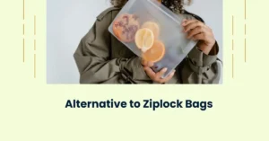 Read more about the article Ditch the Ziplock! Alternative to Ziplock Bags