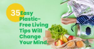 Read more about the article Tired of Plastic Lies? These 35 Easy Plastic-Free Living Tips Will Change Your Mind