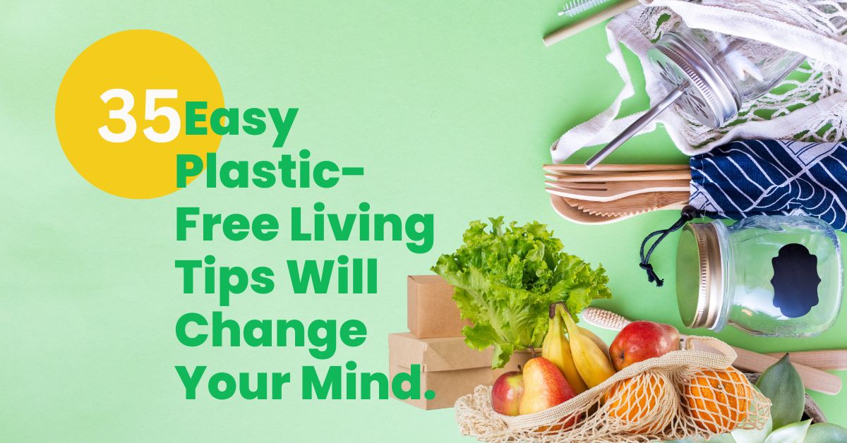 35 Easy Plastic-Free Living Tips Will Change Your Mind (1)