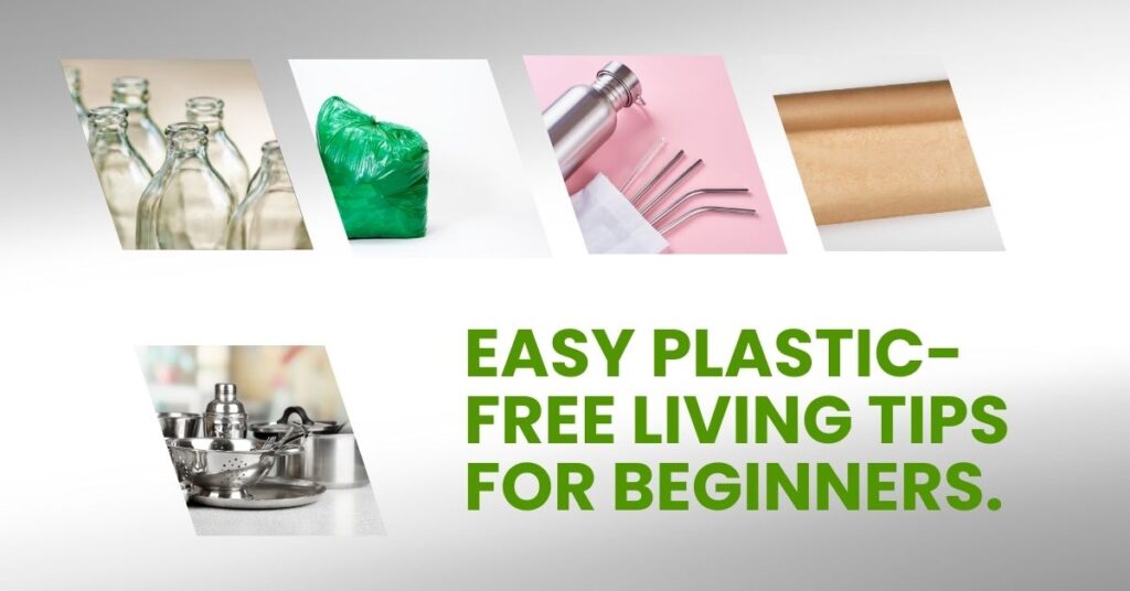 1- Start Small: Easy Plastic-Free Living Tips for Beginners